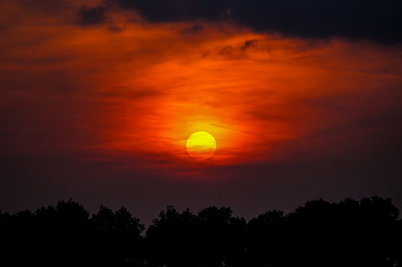 Die rote Sonne von Niek Traas