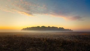 Le nuage au-dessus de la forêt dans la brume