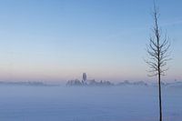 Skyline Bingelrade - mist - blauw