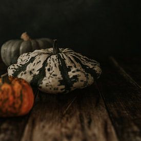 Pumpkin by Monique Brunt