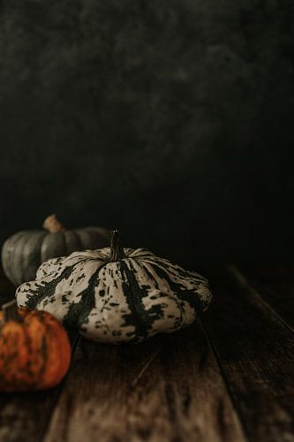 Pumpkin by Monique Brunt