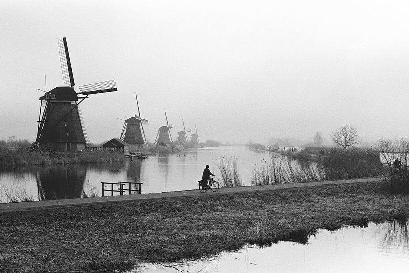 Cyclist at Kinderdijk by Maikel Brands