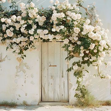 Witte klimrozen bij oude muur van Vlindertuin-Art