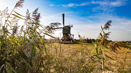 Mühle, bei Meerkerk