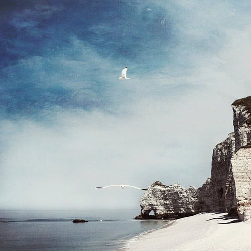 Etretat strand en Falaise d'Amont