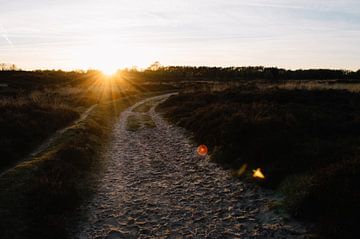 Gasterse Duinen van Rob Veldman