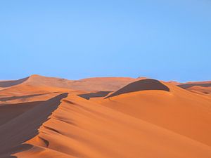 Zandduinen Namibië van Omega Fotografie