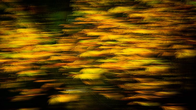 Flying autumn leaves (ICM photography) by Fotografie Jeronimo