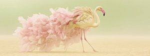 Flamingo in Full Bloom