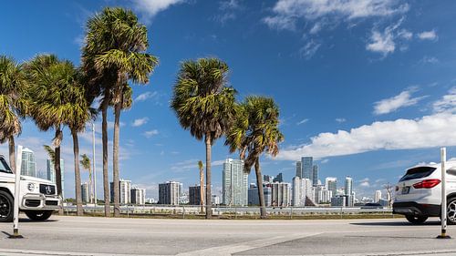 Skyline Miami // passing away
