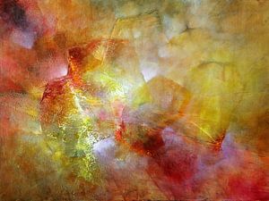 Het licht van Annette Schmucker