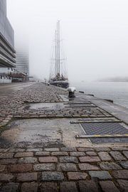 Einigkeit macht stark von Bob Vandenberg