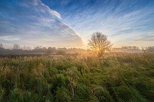 Paysage des polders néerlandais lors d'un lever de soleil brumeux sur Original Mostert Photography