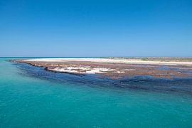 The Mediterranean Sea off Djerba by Bernardine de Laat