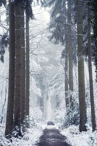 Welkom in Narnia van Martin Podt