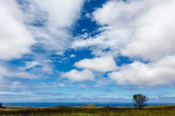 Landscape of Easter Island with green plains surrounded by the Pacific Ocean, Chile, Pacific by WorldWidePhotoWeb