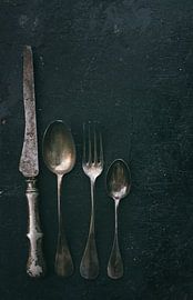 Vintage Silverware. Antique kitchen cutlery still life. by Jelena Jovanovic Fine Art