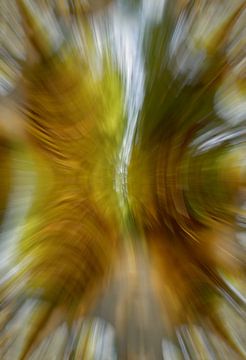 arbres en mouvement, style ICM