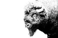 Bizon, Amarican bison van Corinne Cornelissen-Megens thumbnail