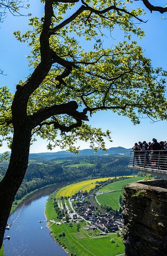 Luchtfoto van het plattelandsdorp Rathen in het Elbezandsteengebergte in Oost-Duitsland met de rivier de Elbe vanaf de verticale Bastei van Animaflora PicsStock