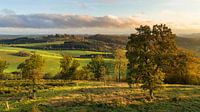 Vulkaneifel, Rheinland-Pfalz, Deutschland von Alexander Ludwig Miniaturansicht