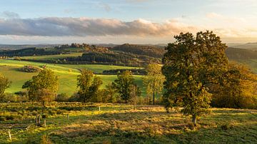 Vulkaneifel, Rhineland-Palatinate, Germany by Alexander Ludwig