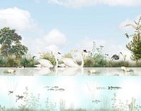 Water birds and fish in a Holland ditch