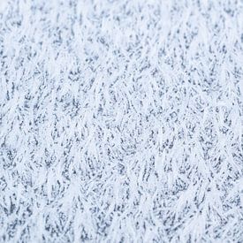 De magie van de vorst, abstracte winterse rijp van dichtbij van Christiaan Poot