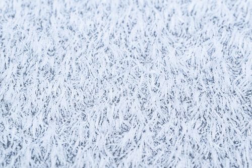 La magie du givre, le givre hivernal abstrait de près sur Christiaan Poot