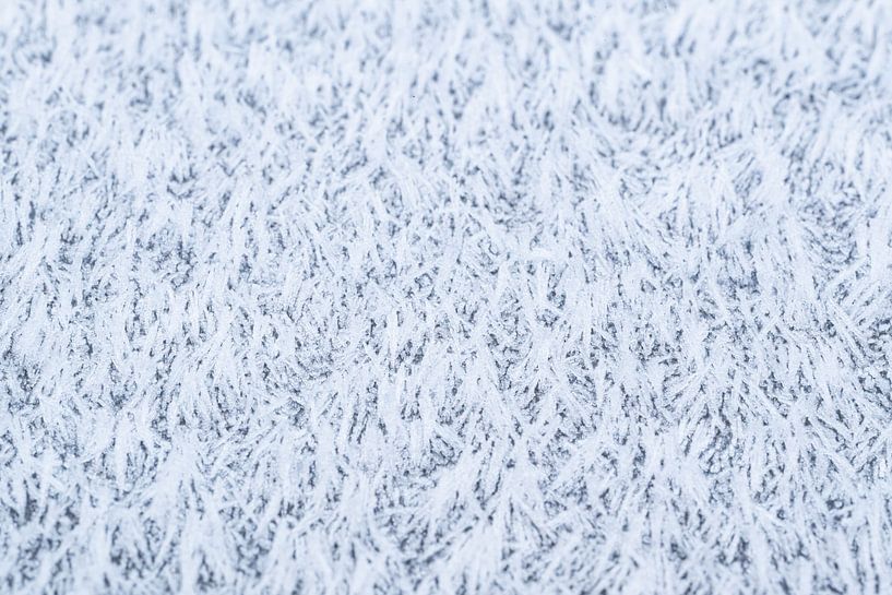 La magie du givre, le givre hivernal abstrait de près par Christiaan Poot