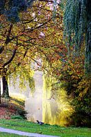 Herbstliche Bäume am Wasser