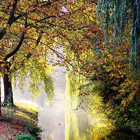 Autumnal trees at the water by Alyssa van Niekerk