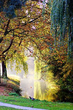 Herfstbomen aan het water van Alyssa van Niekerk