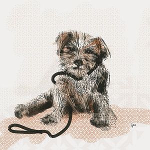 Chien Chien mignon