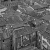 Lucca, Italië - Uitzicht vanaf Torre delle Ore - 4 van Tux Photography