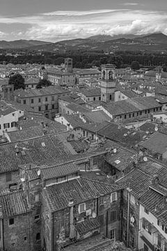 Lucca, Italië - Uitzicht vanaf Torre delle Ore - 4