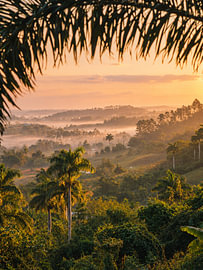 Des palmiers tropicaux surplombant une vallée brumeuse à Cuba sur Creative Travel Station