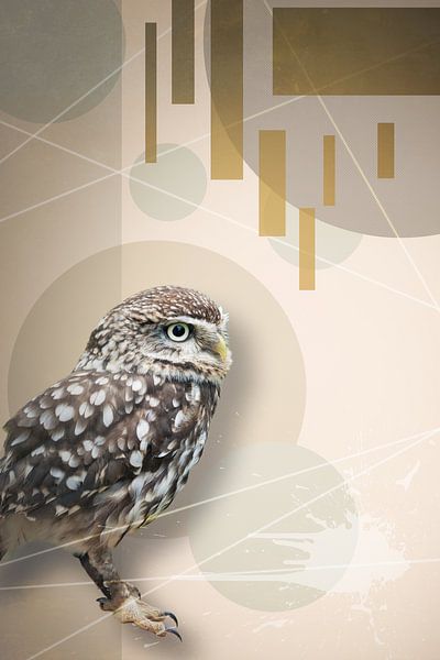 Owl - modern van Studio Caro West