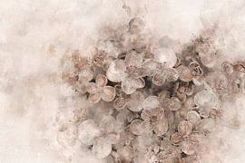 Flowers 10 by Silvia Creemers