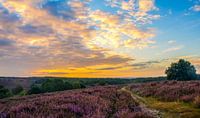 Zonsopkomst Posbank / Sunrise  Posbank 