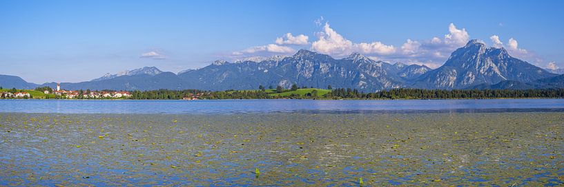 Hopfen am See van Walter G. Allgöwer