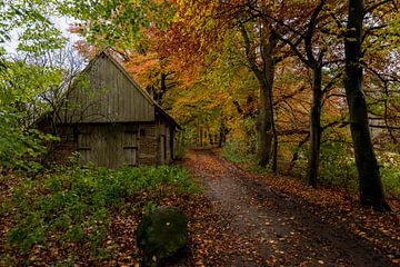 oude vervallen houten schuur met een pannendak  langs een pad in het bos met prachtige herfstkleuren van ChrisWillemsen