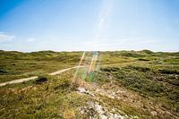 Texel