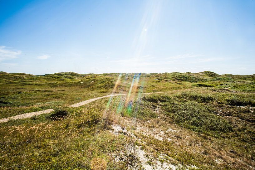 Texel par Kiri Pruntel