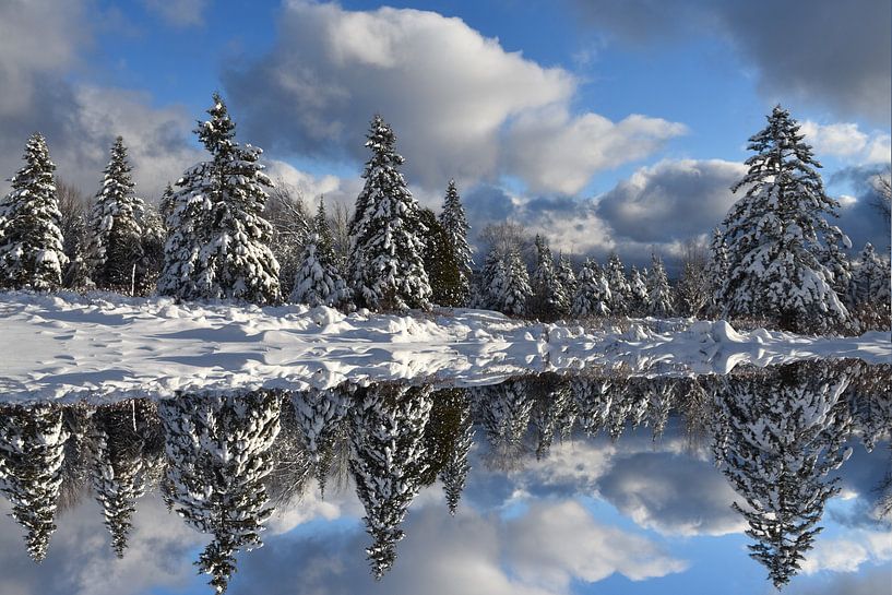 Winter reflection on the lake by Claude Laprise