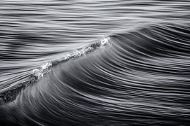 Liquide sur Fabio Palmerini