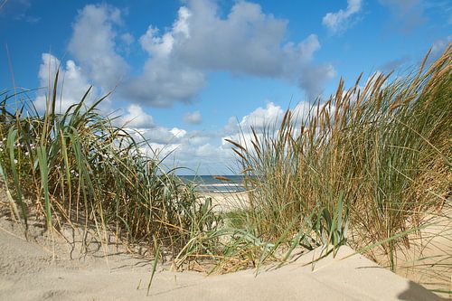 Zeezicht door het helmgras vanuit de duinen