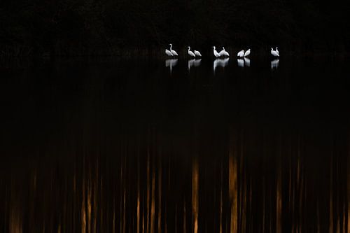 Lichtpuntjes in het donker