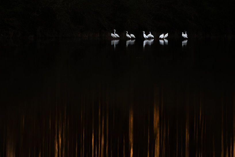 Light points in the dark by Danny Slijfer Natuurfotografie