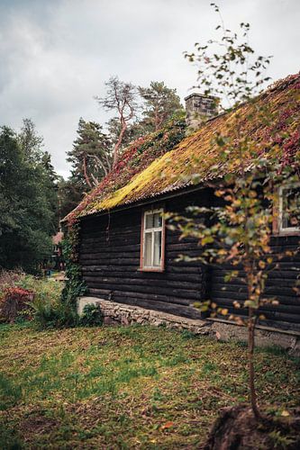 Verborgen in het Groen – Rustieke Blokhut in Estland